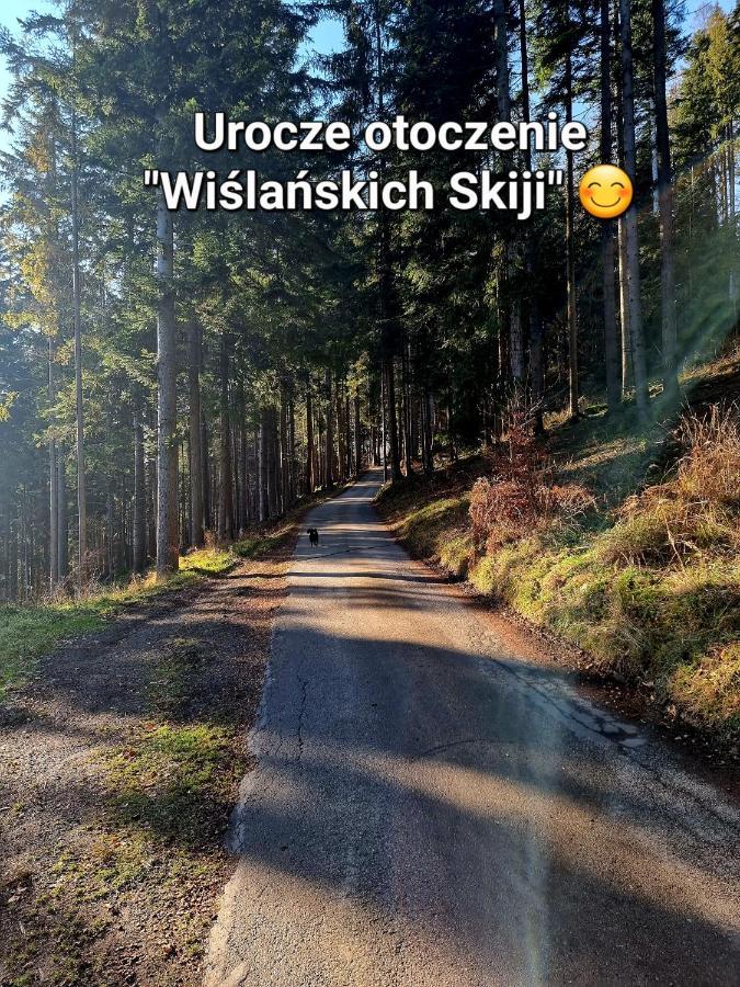 Apartament Wislanskie Skije Екстер'єр фото